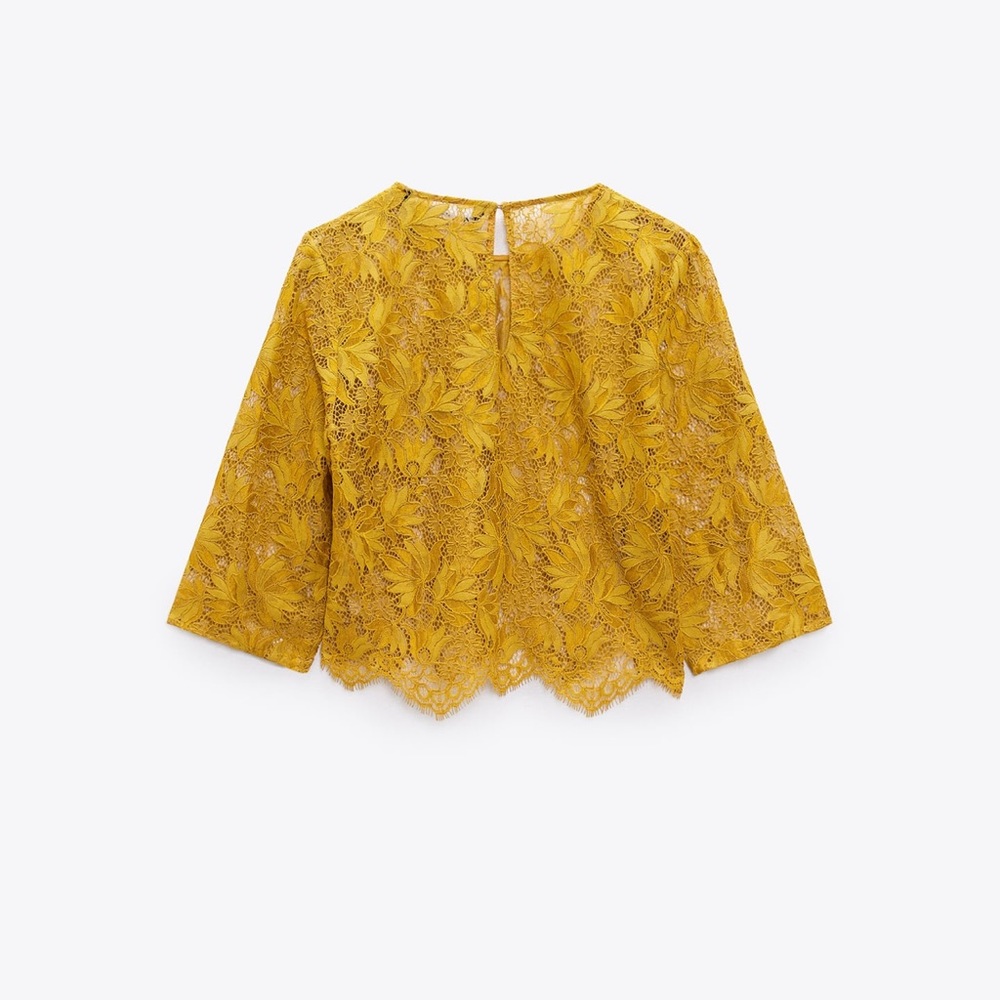 Brand New!! Zara lace mid sleeve mustard top. Pics taken in different lighting.